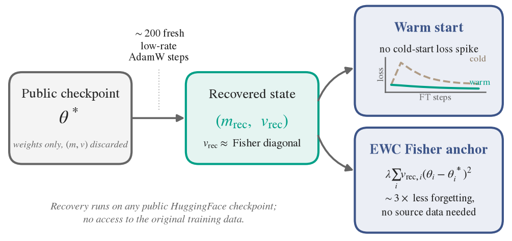 Method overview: about 200 fresh low-rate AdamW steps rebuild the optimizer state from a weights-only checkpoint; the state is used for a warm start and as an EWC Fisher anchor.